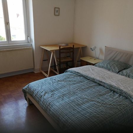 Appartement Entier, Proche Tram-Train Et Commodites, Parking Gratuit Мюлуз Екстер'єр фото