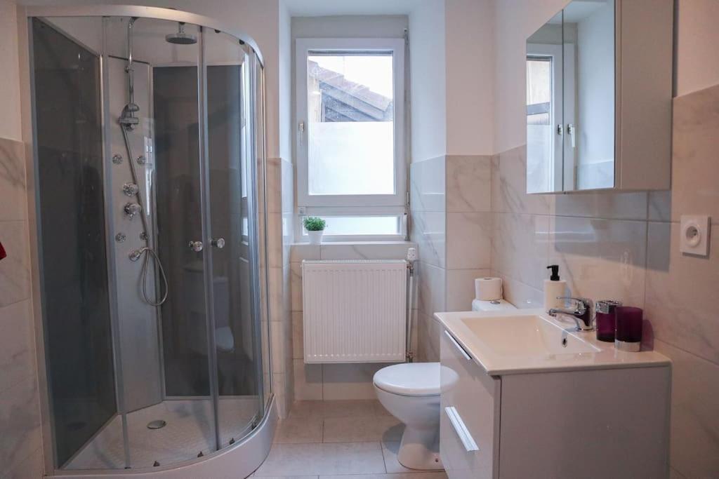 Appartement Entier, Proche Tram-Train Et Commodites, Parking Gratuit Мюлуз Екстер'єр фото