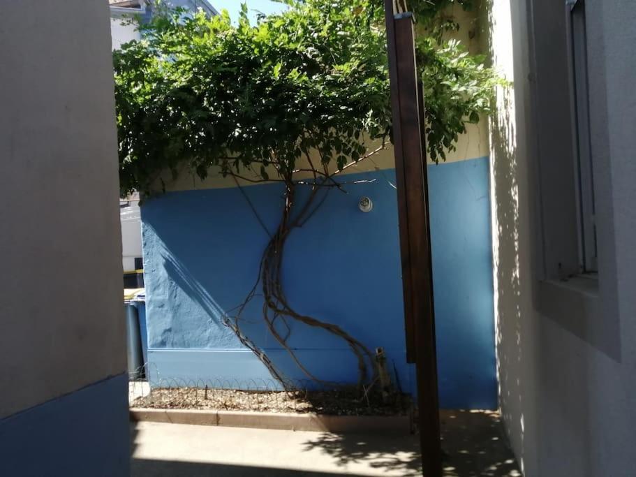 Appartement Entier, Proche Tram-Train Et Commodites, Parking Gratuit Мюлуз Екстер'єр фото