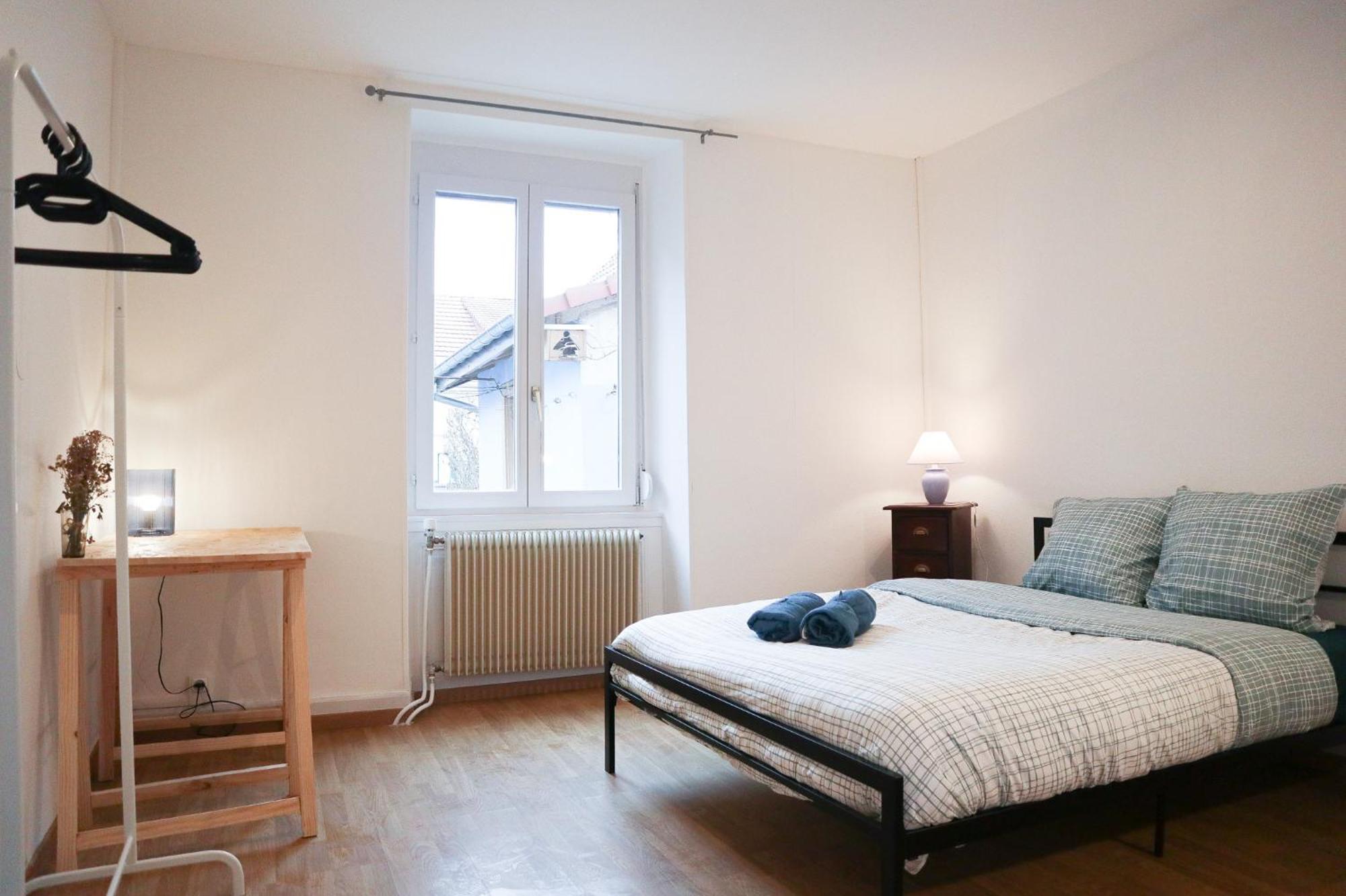 Appartement Entier, Proche Tram-Train Et Commodites, Parking Gratuit Мюлуз Екстер'єр фото